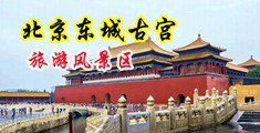 操出白浆视频啊啊啊中国北京-东城古宫旅游风景区